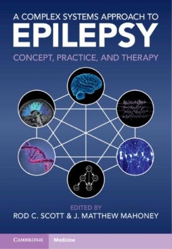 A Complex Systems Approach to Epilepsy. Concept, Practice, and Therapy