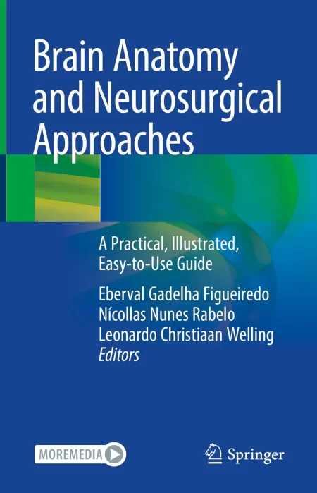 Brain Anatomy and Neurosurgical Approaches. A Practical, Illustrated, Easy-to-Use Guide