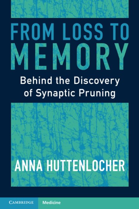 From Loss to Memory. Behind the Discovery of Synaptic Pruning