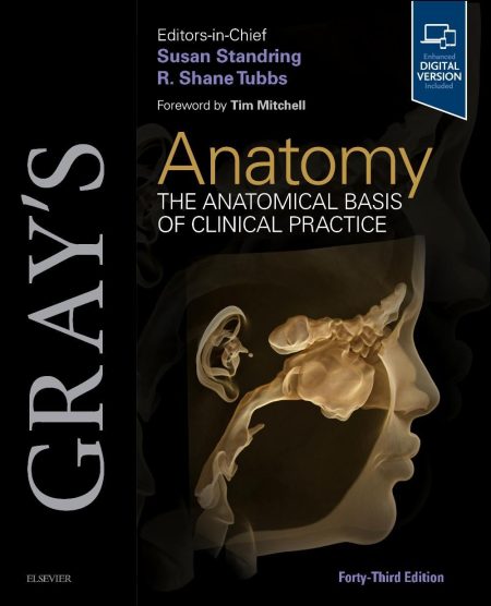 Gray's Anatomy, 43rd Edition. The Anatomical Basis of Clinical Practice