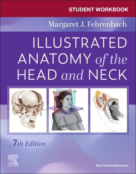 Student Workbook for Illustrated Anatomy of the Head and Neck, 7th Edition
